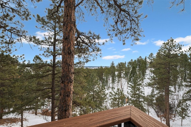 723 Eaton Rd, Palmer Lake, CO 80133 - exterior space