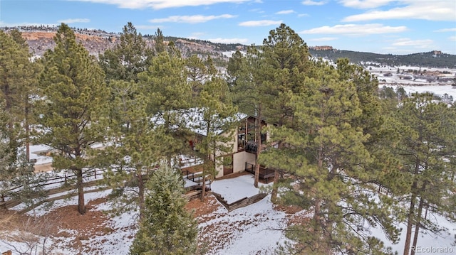 723 Eaton Rd, Palmer Lake, CO 80133 - snowy aerial view with a mountain view