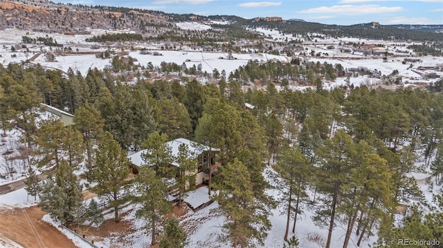 723 Eaton Rd, Palmer Lake, CO 80133 - snowy aerial view featuring a mountain view