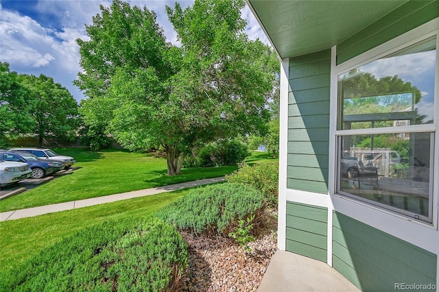 1229 James Cir Unit 1, Lafayette, CO 80026 - view of green lawn