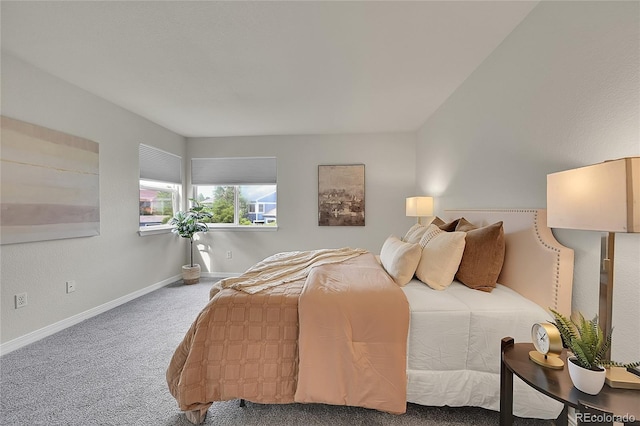 1229 James Cir Unit 1, Lafayette, CO 80026 - carpeted bedroom with baseboards