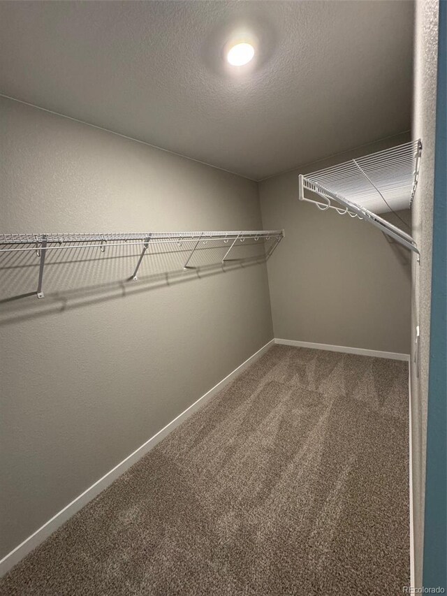 spacious closet with carpet flooring