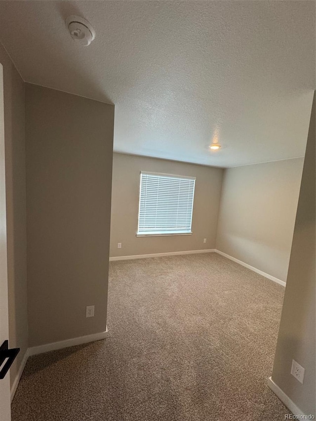 empty room featuring carpet floors and a textured ceiling