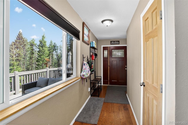 8340 London Ln, Conifer, CO 80433 - foyer entrance with dark wood-type flooring and baseboards