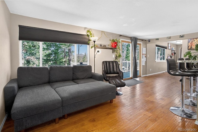 8340 London Ln, Conifer, CO 80433 - living room with wood-type flooring and baseboards