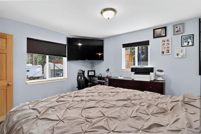 8340 London Ln, Conifer, CO 80433 - view of bedroom