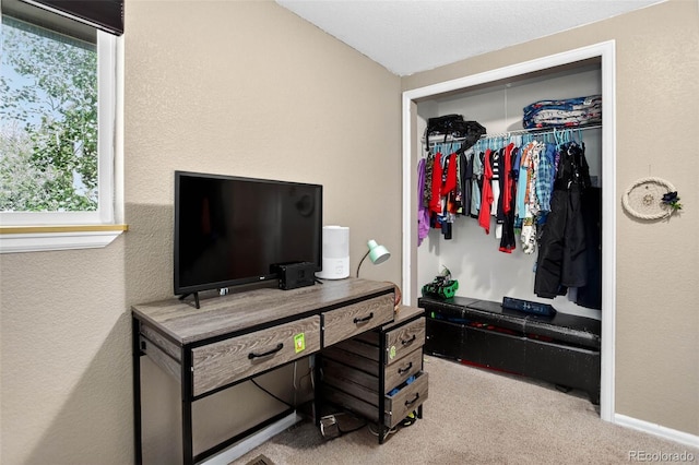 8340 London Ln, Conifer, CO 80433 - office area with carpet flooring