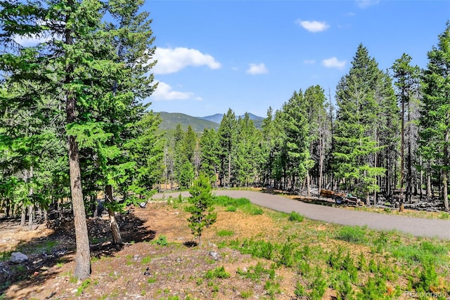 8340 London Ln, Conifer, CO 80433 - view of mountain backdrop