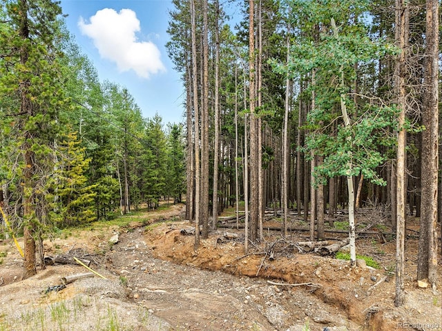 Aspen Way, Evergreen, CO 80439 - photo 3