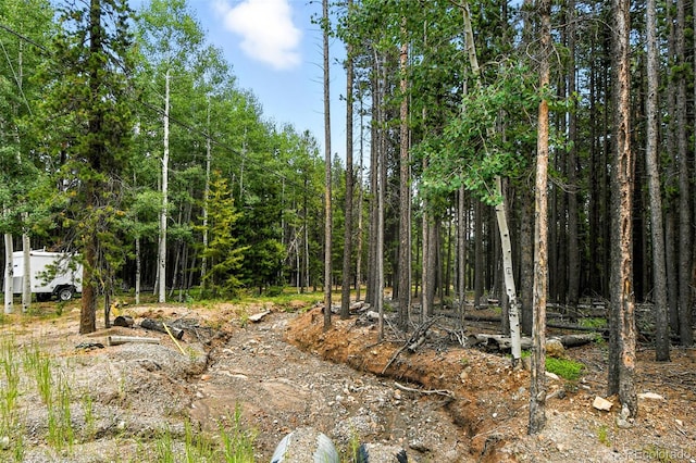 Aspen Way, Evergreen, CO 80439 - photo 6