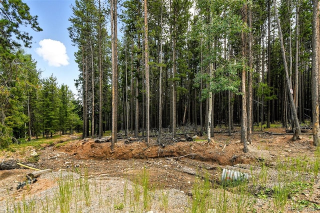 Aspen Way, Evergreen, CO 80439 - photo 7