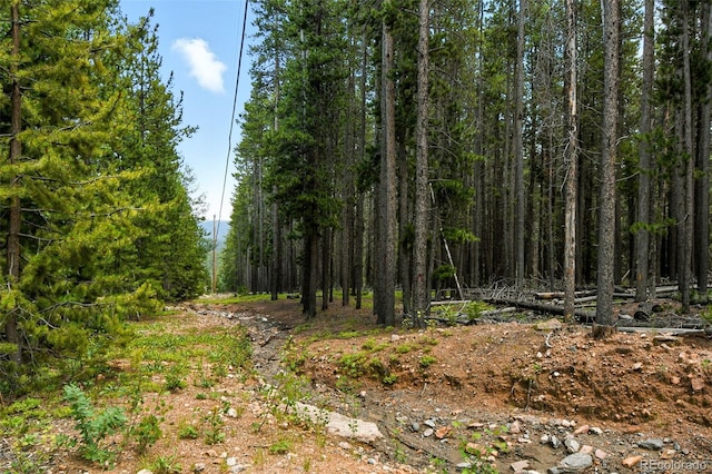 Aspen Way, Evergreen, CO 80439 - photo 8