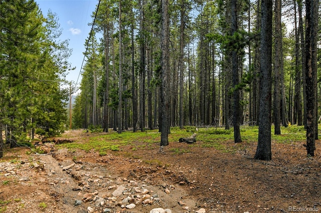 Aspen Way, Evergreen, CO 80439 - photo 9