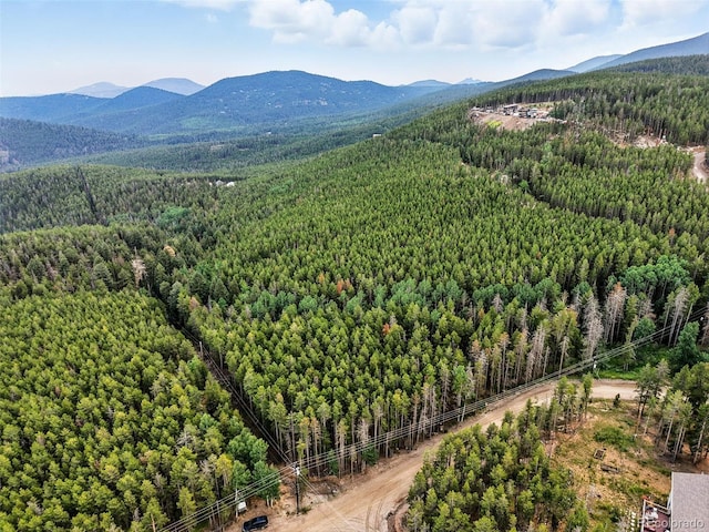 Aspen Way, Evergreen, CO 80439 - photo 23