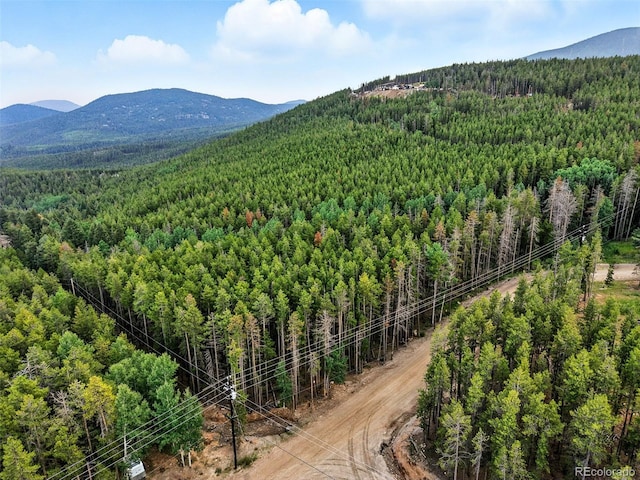 Aspen Way, Evergreen, CO 80439 - photo 24