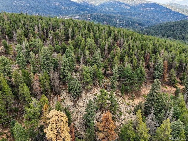 Aspen Way, Evergreen, CO 80439 - photo 25