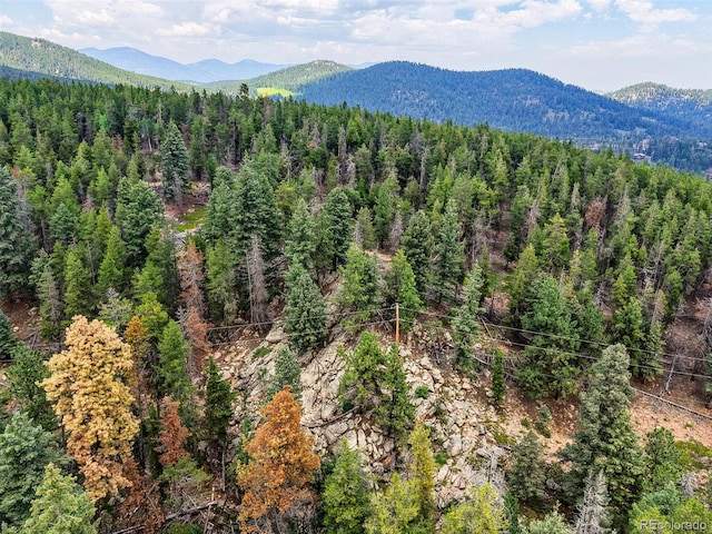 Aspen Way, Evergreen, CO 80439 - photo 26