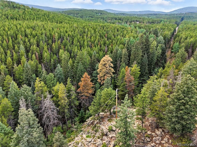 Aspen Way, Evergreen, CO 80439 - photo 27