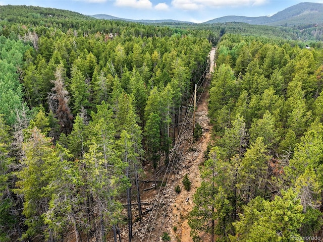Aspen Way, Evergreen, CO 80439 - photo 28