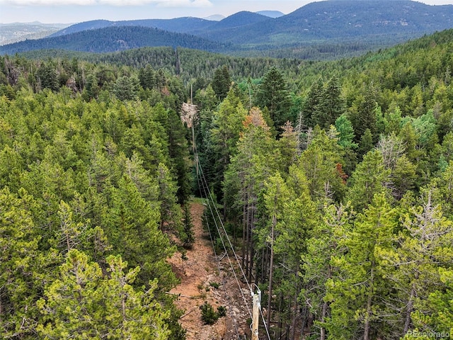 Aspen Way, Evergreen, CO 80439 - photo 29