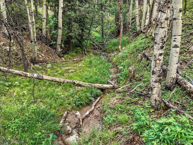 Aspen Way, Evergreen, CO 80439 - photo 35