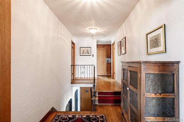 corridor featuring dark wood-type flooring