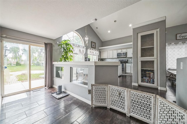 20338 E 48th Dr, Denver, CO 80249 - kitchen featuring stainless steel appliances, vaulted ceiling, baseboards, a textured ceiling, and a peninsula