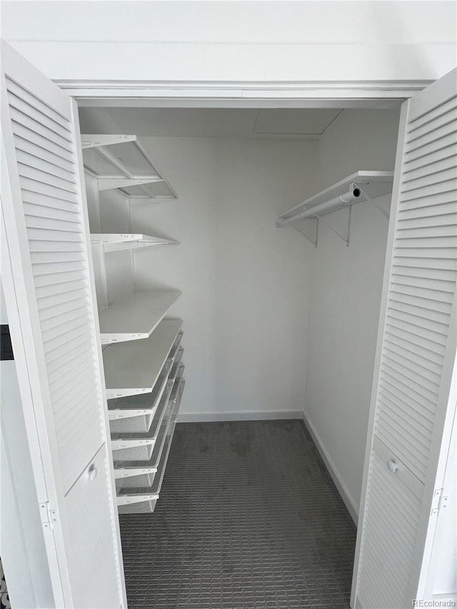 walk in closet with dark carpet