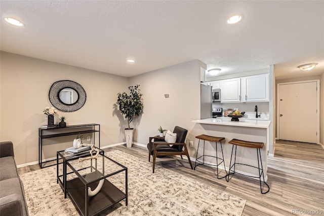 living room with sink, light hardwood / wood-style flooring, and a textured ceiling