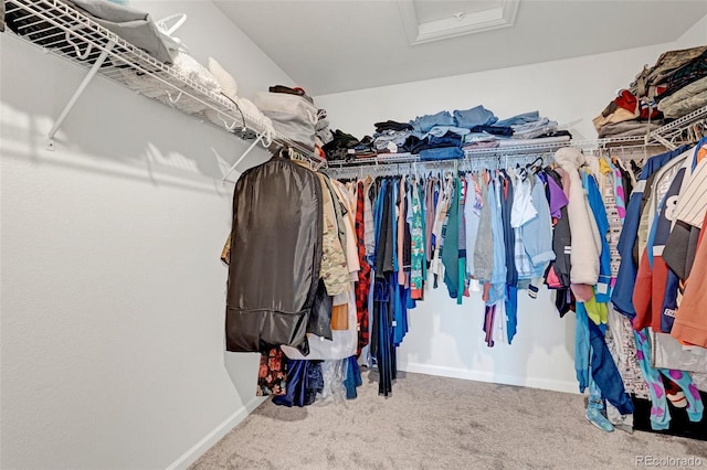 spacious closet featuring carpet floors and attic access