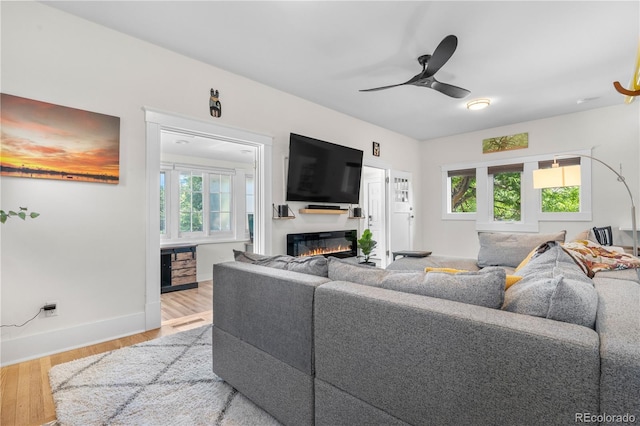 4501 Zenobia St, Denver, CO 80212 - living area with wood finished floors, a glass covered fireplace, and ceiling fan