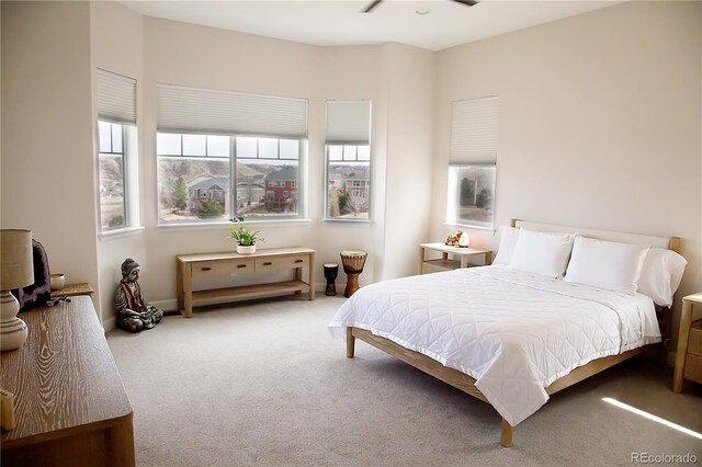3910 Mighty Oaks St, Castle Rock, CO 80104 - view of carpeted bedroom