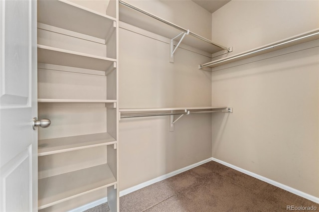 9637 E 5th Ave Unit 101, Denver, CO 80230 - walk in closet featuring carpet flooring