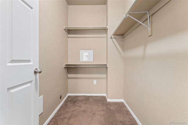 9637 E 5th Ave Unit 101, Denver, CO 80230 - walk in closet with carpet
