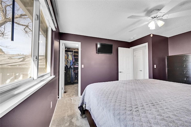 bedroom featuring a spacious closet, ceiling fan, carpet floors, a closet, and a textured ceiling