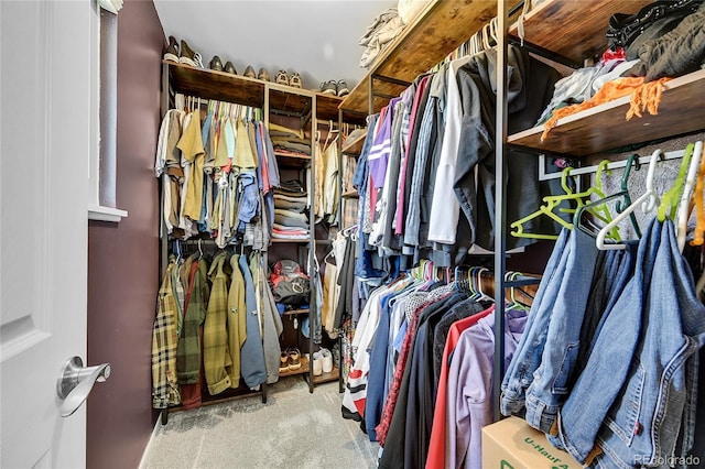 spacious closet featuring carpet floors