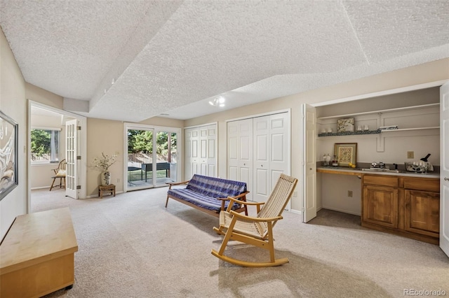 3427 Trenary Ln, Colorado Springs, CO 80918 - photo 22