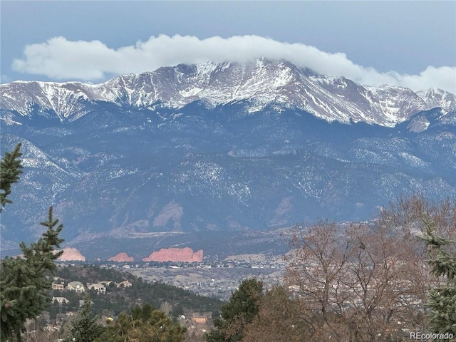 3427 Trenary Ln, Colorado Springs, CO 80918 - photo 27