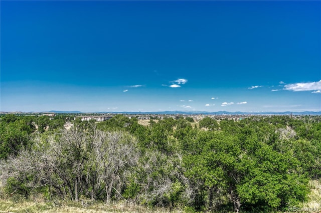 9291 Twenty Mile Rd Unit 408, Parker, CO 80134 - photo 25