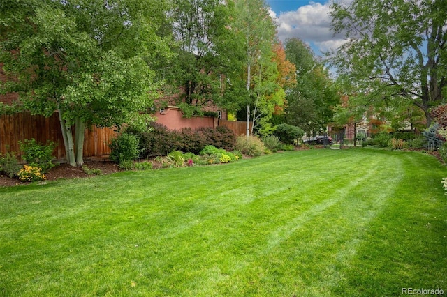 view of yard featuring fence