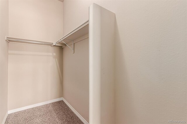 spacious closet with carpet floors