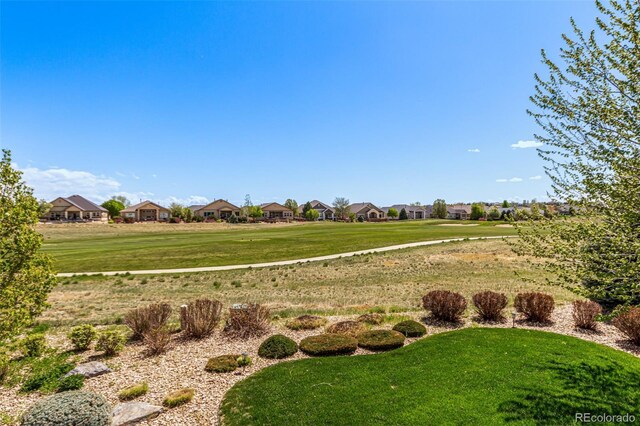 view of home's community featuring a lawn and a residential view