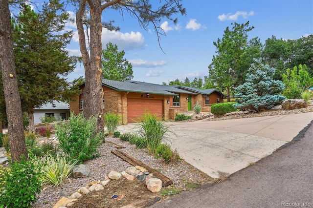 19 Rock Ln, Castle Rock, CO 80104 - photo 5