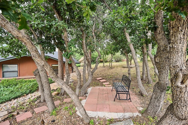 19 Rock Ln, Castle Rock, CO 80104 - photo 7