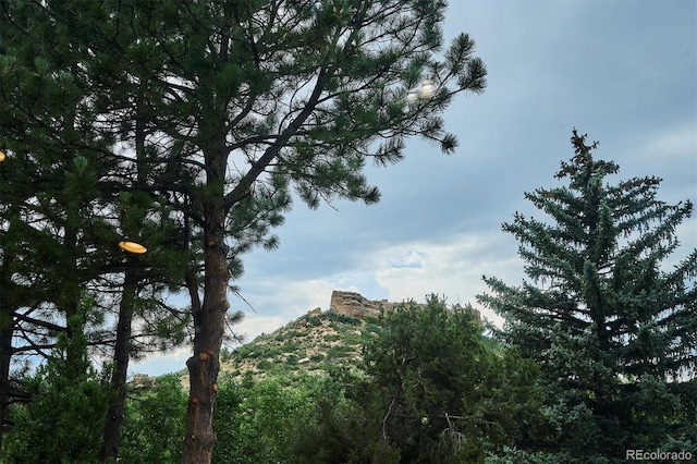 19 Rock Ln, Castle Rock, CO 80104 - photo 20