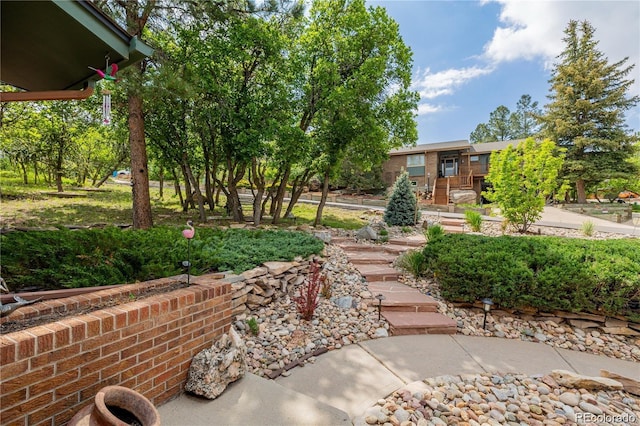 19 Rock Ln, Castle Rock, CO 80104 - photo 41