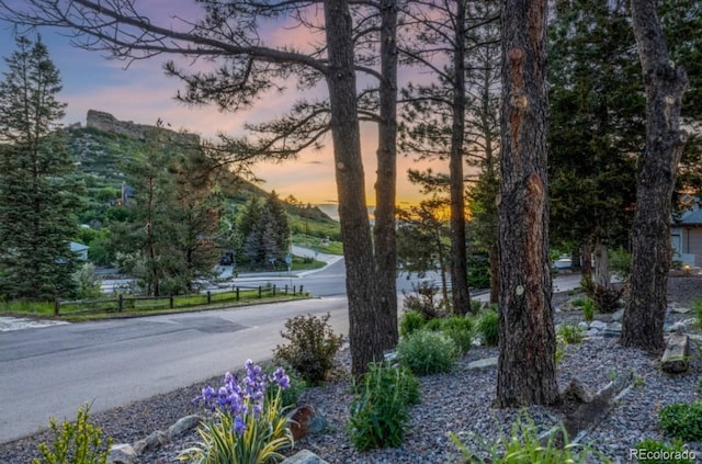 19 Rock Ln, Castle Rock, CO 80104 - photo 48