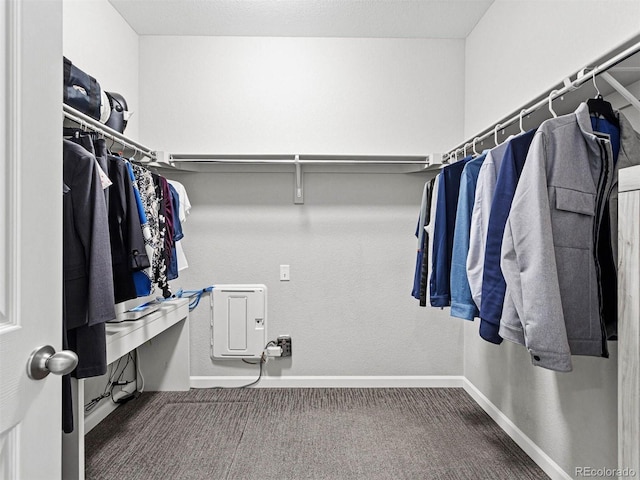 55 S Edge Cliff St, Castle Rock, CO 80104 - spacious closet with carpet flooring