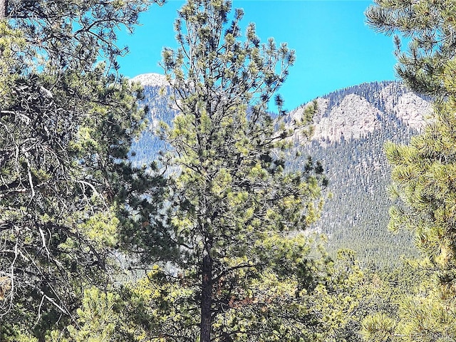 116 Neal St, Bailey, CO 80421