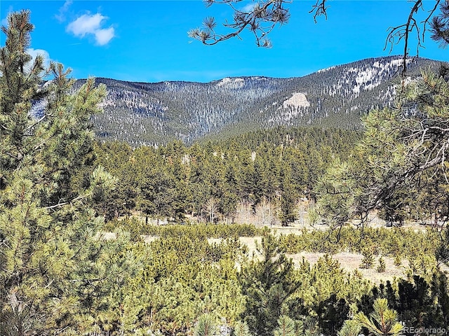 116 Neal St, Bailey, CO 80421